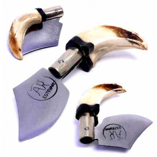 A. R. Estevan Fang Boar A. R. Estevan Fang Boar