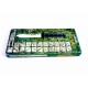 Aitor Jungle King II Antiguo 1ª Version