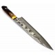 Takeshi Saji Gyuto Damascus Stag sjvg7