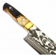 Takeshi Saji Gyuto Damascus Stag sjvg7