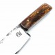 Dragos Ionut Hunter Polished Stag