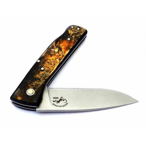 Salamandra Aura Buey 304762
