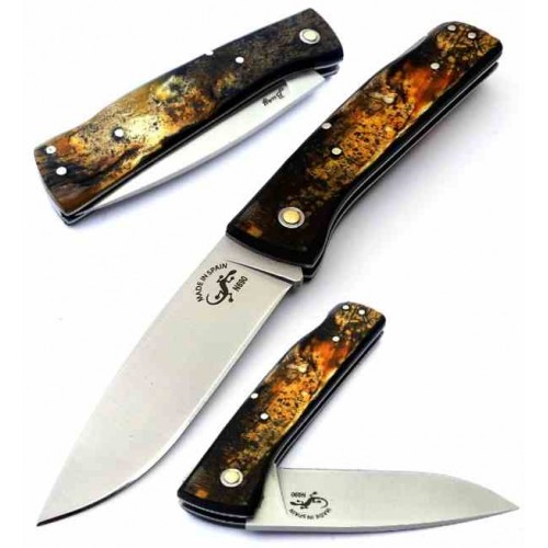 Salamandra Aura Buey 304762