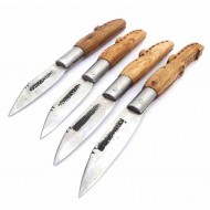 Javier Ares Maragata Bota 101