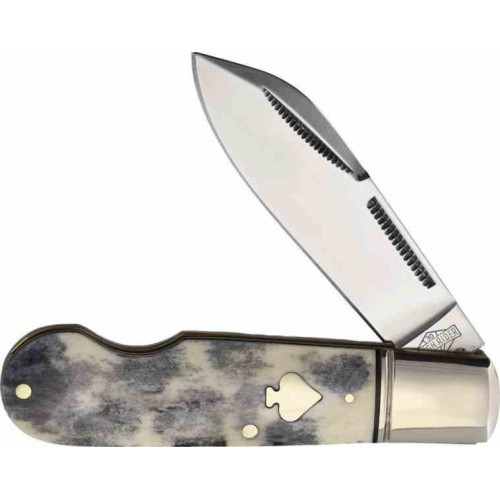 Rough Rider Blk Appaloosa rr2486 Rough Rider Blk Appaloosa rr2486