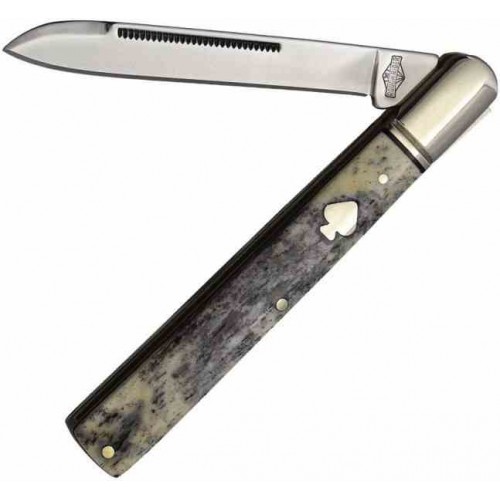 Rough Rider Black Appaloosa Doctor rr2484
