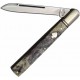 Rough Rider Black Appaloosa Doctor rr2484