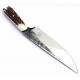 Dragos Ionut Hunter Stag 155