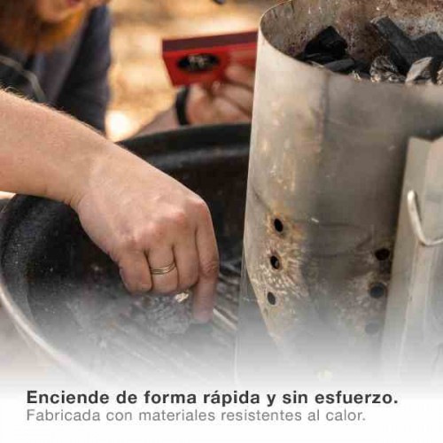 Chimenea Encendido Barbacoa Carbón 401000009