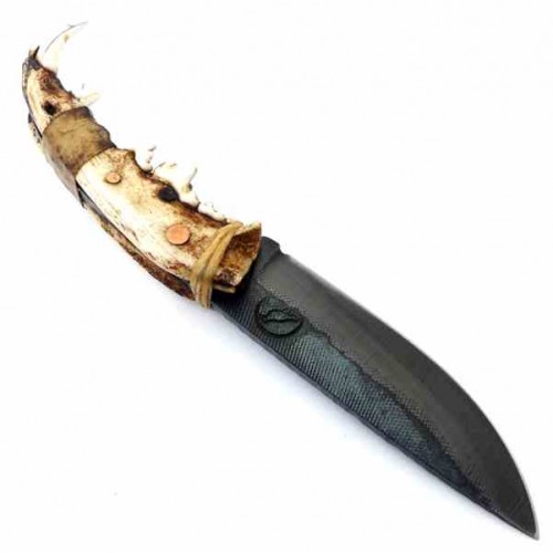 Sebastien Dauby Jaws File