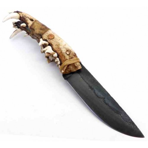 Sebastien Dauby Jaws File