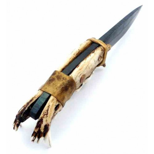 Sebastien Dauby Jaws File