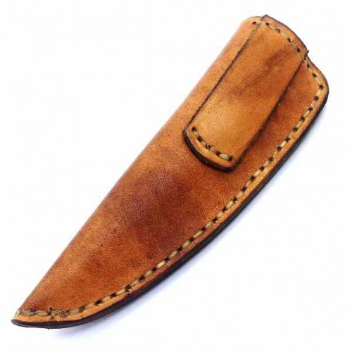 Sebastien Dauby Jaws File
