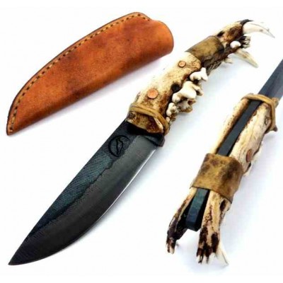 Sebastien Dauby Jaws File