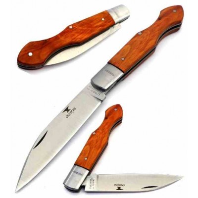 Carlos Norte Canesa Tejo  Carlos Norte Canesa Tejo