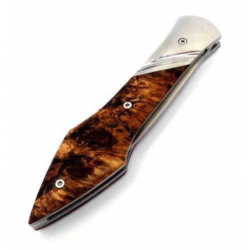 Laraud Oegopsyde Chestnut 14c28n