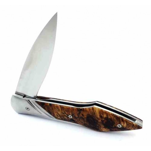 Laraud Oegopsyde Chestnut 14c28n