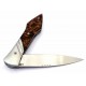 Laraud Oegopsyde Chestnut 14c28n