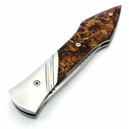 Laraud Oegopsyde Chestnut 14c28n