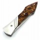 Laraud Oegopsyde Chestnut 14c28n
