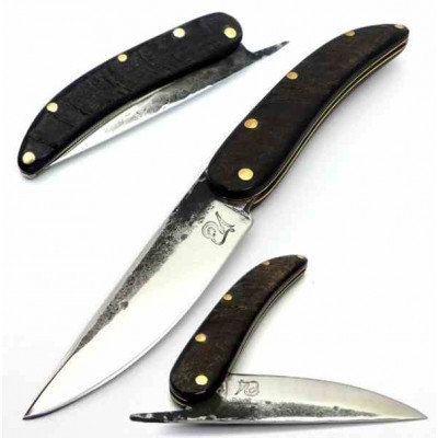 Dragos Ionut Piamontesa Macho Montés 