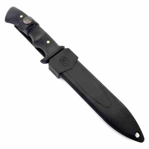 Muela Comg16n