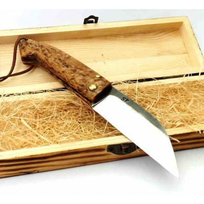 Sebastian Trias Pastor Abedul Estabilizado