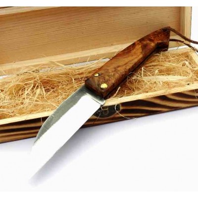 Sebastian Trias Pastor Stabilized Wood Carbon Sebastian Trias Pastor Stabilized Wood Carbon