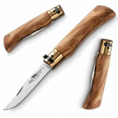 Antonini Old Bear Classical L Olive Stainless Serrated