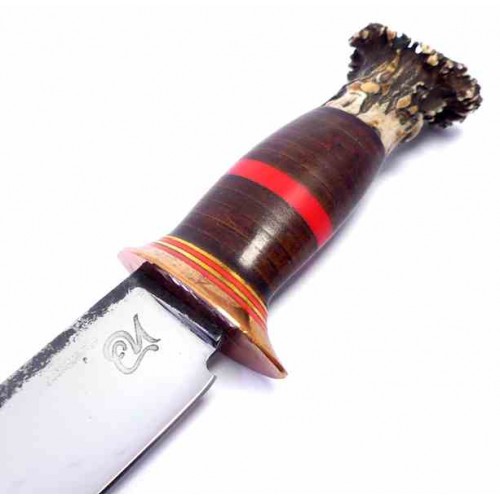 Dragos Ionut Scagel 120