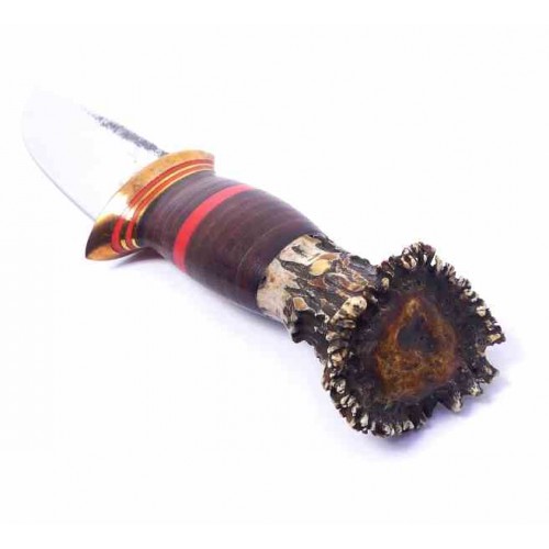 Dragos Ionut Scagel 120