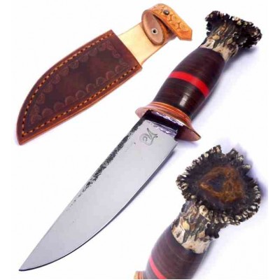 Dragos Ionut Scagel 120