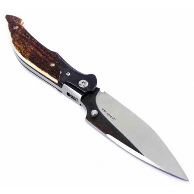 Barbudo Malagueña Sierra de las Nieves