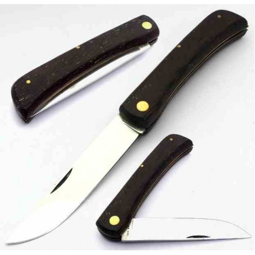 Aitor Pastor 517.080