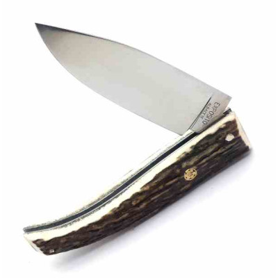 Exposito P505CV Ciervo