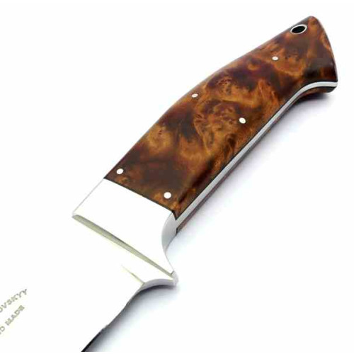 Vasyl Goshovskyy Semi Skinner N690