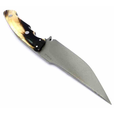 Barbudo Machito Risquero K720