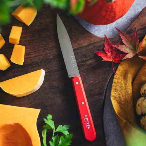 Opinel 112 Set 4 Puntillas Peladores 001233