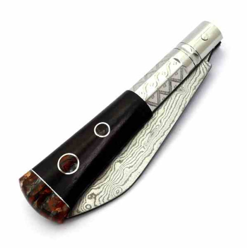 Paramas F. J. Asturiana Granadillo & Molar Mamut