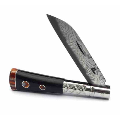 Paramas F. J. Asturiana Granadillo & Molar Mamut