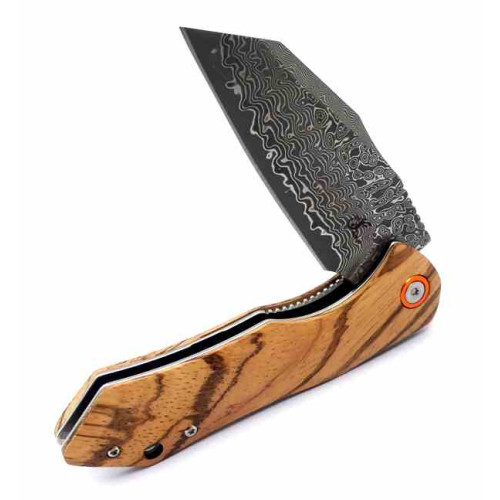 Salamandra Tek 844525