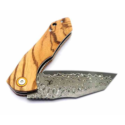 Salamandra Tek 844525