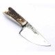 Dragos Ionut Hunter Skinner Stag 145