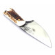 Dragos Ionut Hunter Skinner Ciervo 145