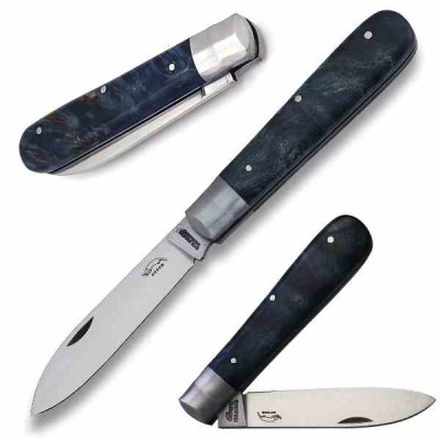 Otter 161 Draco Estab Bl