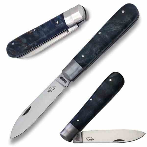 Otter 161 Draco Estab Bl