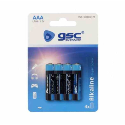 Gsc AAA Evolution Alkaline Battery LR03 Blister 4 units.
