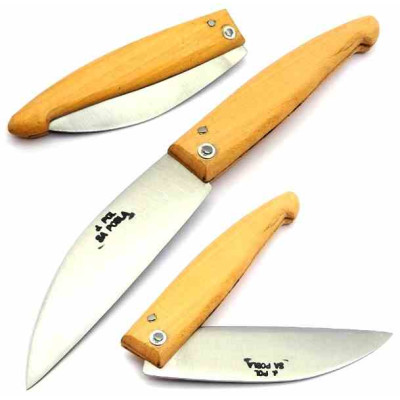 J. Pol Pastor Carbono Castello 118