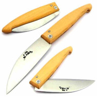 J. Pol Pastor Carbono Castello 118