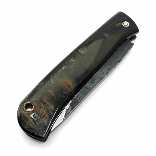 Citadel Le Bugue Buffalo Horn 2